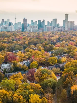toronto-movers